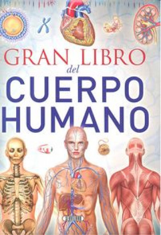 Könyv El cuerpo humano 