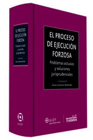 Kniha El proceso de ejecución forzosa : problemas actuales y soluciones jurisprudenciales 