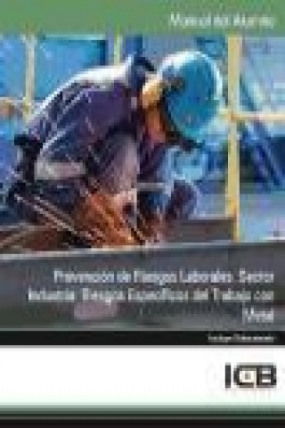 Kniha Prevención de riesgos laborales : sector industria : riesgos específicos del trabajo con metal 
