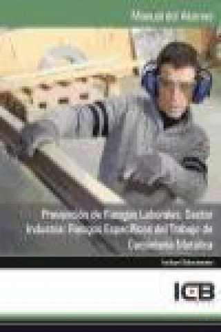 Carte Prevención de riesgos laborales : sector industria : riesgos específicos del trabajo de carpintería metálica 