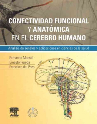 Kniha Conectividad funcional y anatómica en el cerebro humano ; StudentConsult en espa?ol F. MAESTU UTURBE