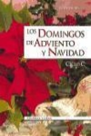 Könyv Los domingos de adviento y Navidad, ciclo C Juan Jáuregui Castelo