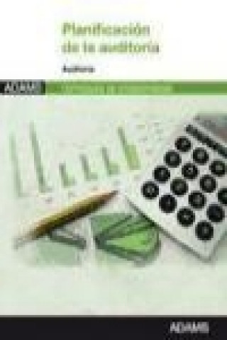 Kniha Planificación de la auditoría : certificado de profesionalidad gestión contable y auditoría 