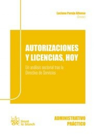 Kniha Autorizaciones y licencias, hoy : un análisis sectorial tras la directiva de servicios Antonio Descalzo González