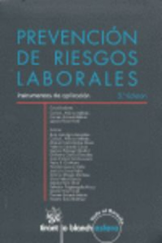 Kniha Prevención de riesgos laborales : instrumentos de aplicación Juan José . . . [et al. ] Agún González