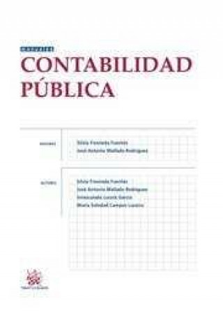 Книга Contabilidad pública Silvia . . . [et al. ] Fresneda Fuentes