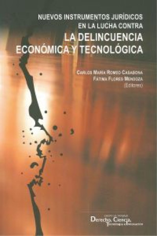 Könyv Nuevos instrumentos jurídicos en la lucha contra la delincuencia económica y tecnológica Carlos María Romeo Casabona