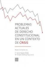 Könyv Problemas actuales de derecho constitucional en un contexto de crisis 