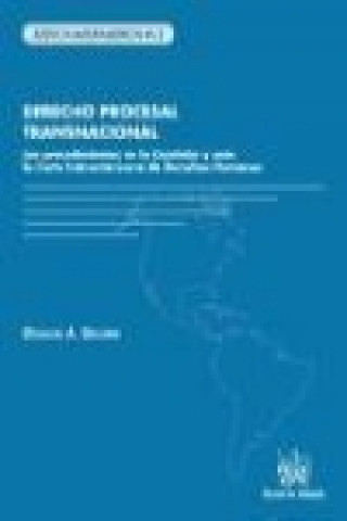 Kniha Derecho Procesal Transnacional: Los procedimientos en la Comisión y ante la Corte Interamericana de Derechos Humanos 