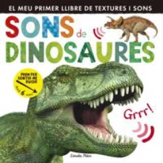 Kniha Sons de dinosaures 