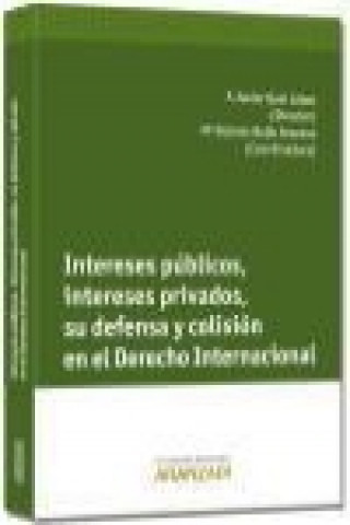 Buch Intereses públicos, intereses privados, su defensa y colisión en el derecho internacional María Dolores Bollo Arocena