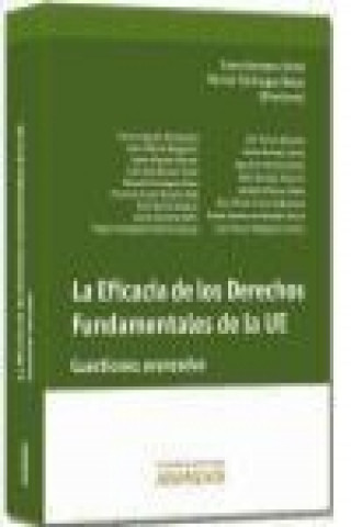 Книга La eficacia de los derechos fundamentales de la UE : cuestiones avanzadas Manuel Cienfuegos Mateo