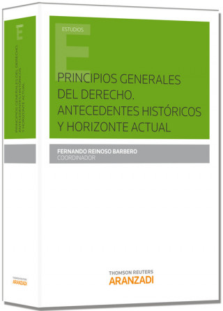 Kniha Principios generales del derecho Fernando Reinoso Barbero