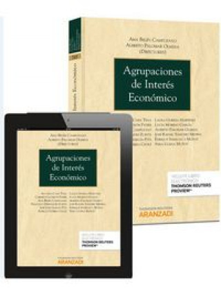 Książka Agrupaciones de Interés Económico (Papel + e-book) Antonio . . . [et al. ] Caba Tena