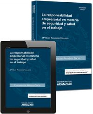 Książka La responsabilidad empresarial en materia de seguridad y salud en el trabajo (Formato dúo) 