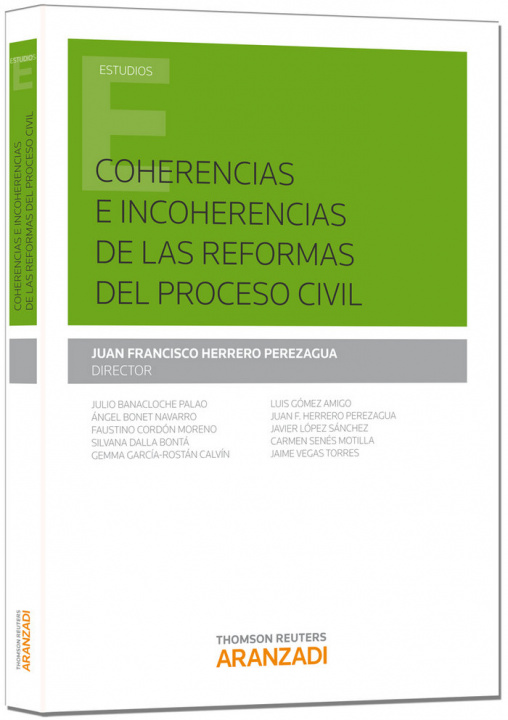 Könyv Coherencias e incoherencias de las reformas del proceso civil 