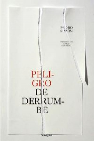 Könyv Peligro de derrumbe PEDRO SIMON