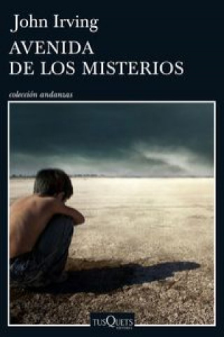 Kniha Avenida de los Misterios John Irving