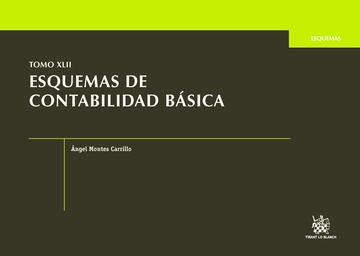 Buch Esquemas de contabilidad básica. Tomo XLII 