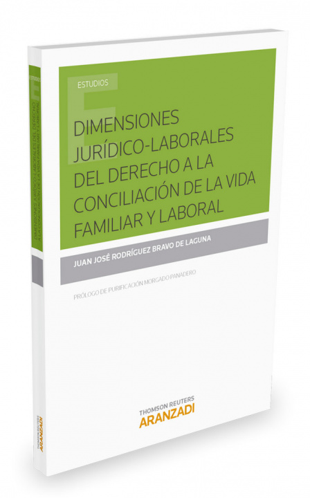 Buch Dimensiones jurídico-laborales del derecho a la conciliación de la vida familiar y laboral 