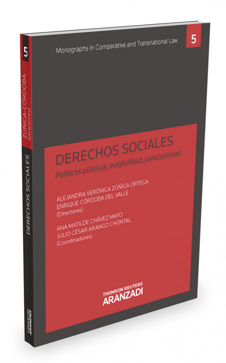 Buch Derechos sociales 