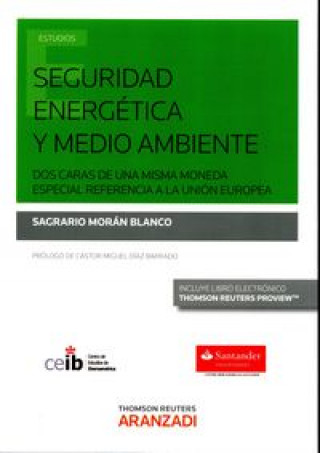 Könyv Seguridad energética y medio ambiente: dos caras de una misma moneda, especial referencia a la Unión Europea 