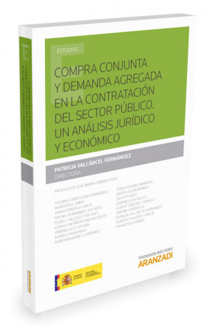 Kniha Compra conjunta y demanda agregada en la contratación del sector público: un análisis jurídico y económico PATRICIA VALVARCEL FERNANDEZ