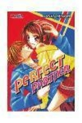 Knjiga Perfect partner Kanan Minami