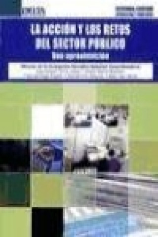 Livre La acción y los retos del sector público : una aproximación María de la Concepción González Rabanal