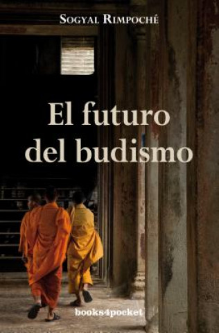 Buch El Futuro del Budismo = The Future of Buddhism and Other Essays Sogyal Rimpoche