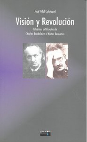 Книга Visión y revolución : infiernos artificiales de Charles Baudelaire a Walter Benjamin José Vidal Calatayud