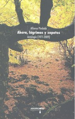 Könyv Ahora lágrimas y zapatos Alfonso Pintado Jiménez