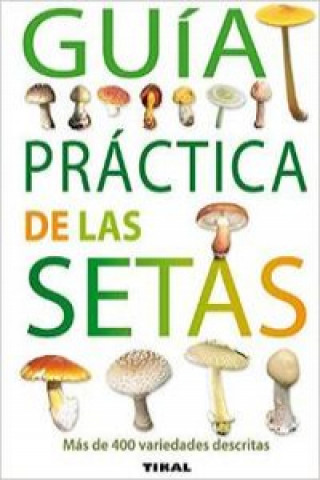 Könyv Guía práctica de las setas Francis Massart