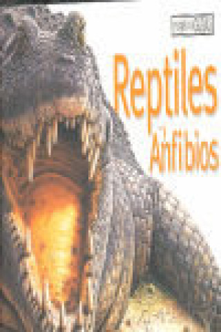 Kniha Reptiles y anfibios Mark Hutchinson