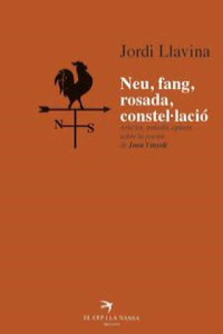 Kniha Neu, fang, rosada, constel.lació : Articles, treballs, apunts sobre la poesia de Joan Vinyoli Valentí Puig