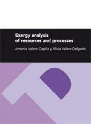 Kniha Exergy analysis of resources and processes Antonio Valero Capilla