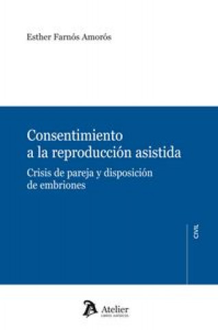 Könyv Consentimiento a la reproducción asistida : crisis de pareja y disposición de embriones 