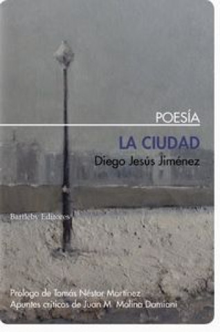 Buch LA CIUDAD DIEGO JESúS JIMéNEZ