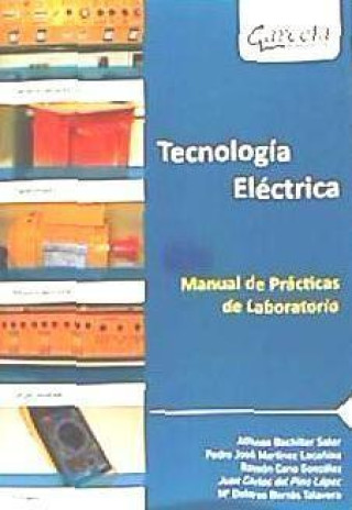 Buch TECNOLOGIA ELECTRICA. MANUAL DE PRACTICAS DE LABORATORIO 