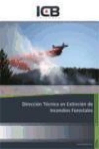 Könyv Dirección Técnica en Extinción de Incendios Forestales 