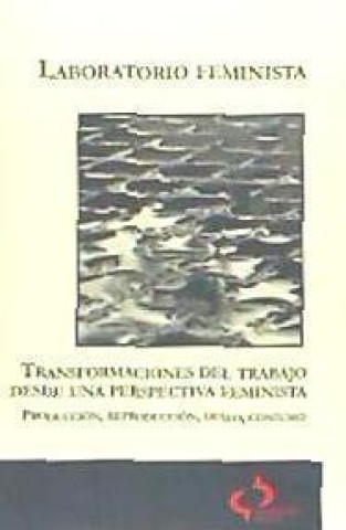 Kniha Transformaciones del trabajo desde una perspectiva feminista : (producción, reproducción, deseo, consumo) Laboratorio Feminista