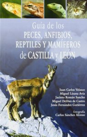 Kniha Guía de los peces, anfibios, reptiles y mamíferos de Castilla y León Juan Carlos Velasco Marcos