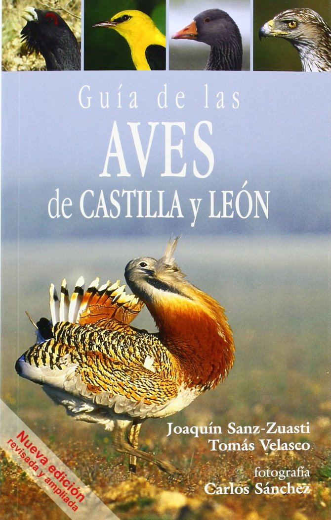 Kniha Guía de las aves de Castilla y León Joaquín Sanz-Zuasti