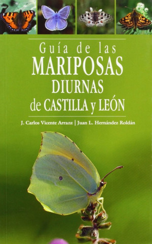 Kniha Guía de las mariposas diurnas de Castilla y León Juan L. Hernández Roldán