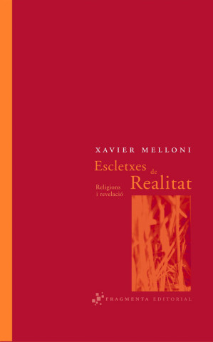 Könyv Escletxes de realitat : religions i revelació Javier Melloni Ribas