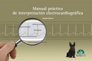 Kniha Manual práctico de interpretación electrocardiográfica Joaquín Bernal de Pablo-Blanco