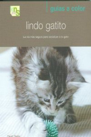 Książka Lindo gatito : la vía más segura para socializar a tu gato David C. Taylor