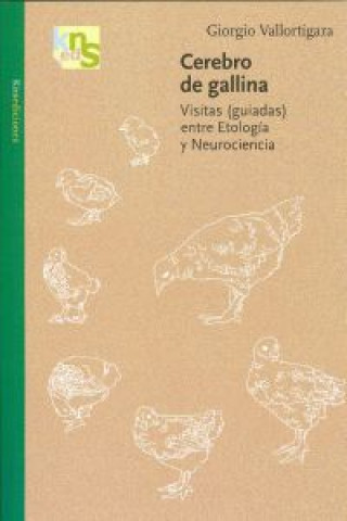Kniha Cerebro de gallina : visitas (guiadas) entre etología y neurociencia Giorgio Vallortigara