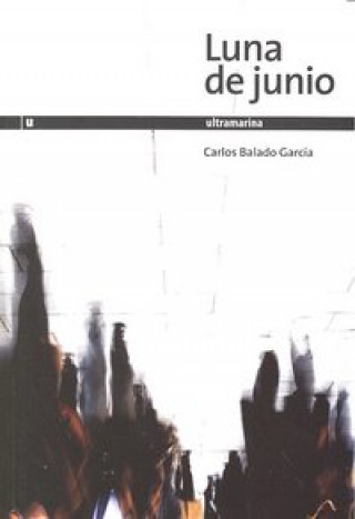 Kniha Luna de junio Carlos Balado García