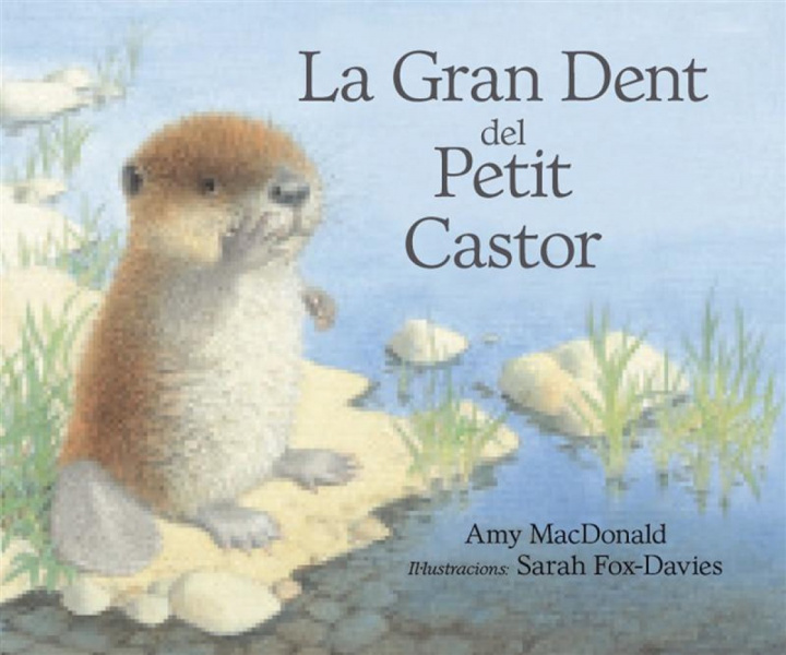 Könyv La gran dent del petit castor Amy MacDonald